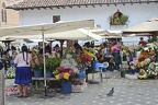 wQuenca 21