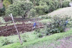 wCusco 36