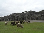 wCusco Stefan 03