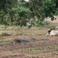 Ghana 2011 096