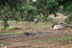 Ghana 2011 096