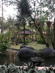 YogiaYakarta 077
