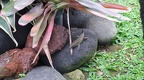 Bali 001