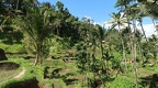 Bali 031
