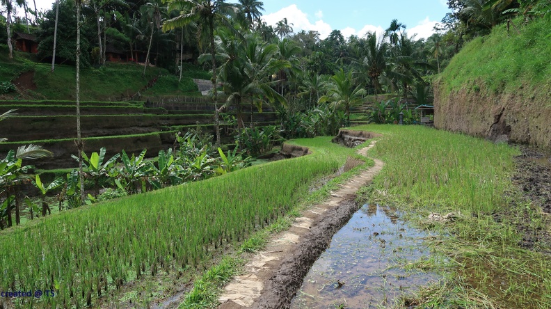 Bali_034.jpg