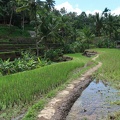 Bali 034