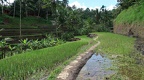 Bali 034