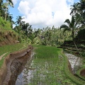 Bali 035