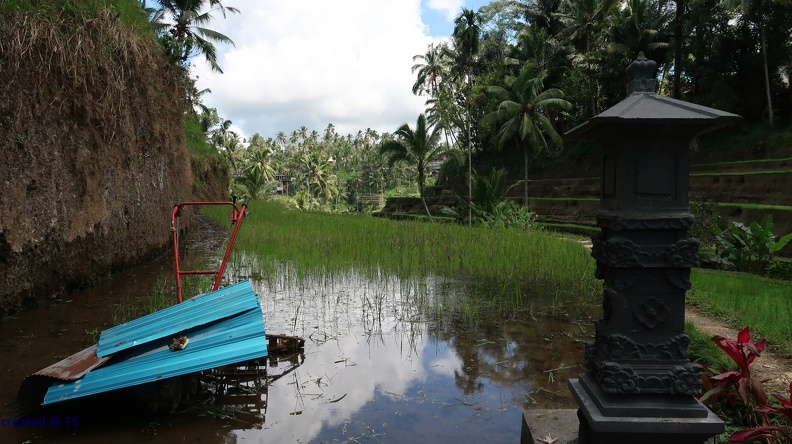 Bali_036.jpg