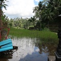 Bali 036