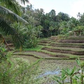 Bali 038