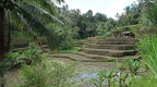 Bali 038