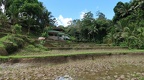 Bali 040