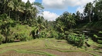 Bali 041
