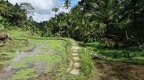 Bali 042