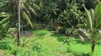 Bali 043