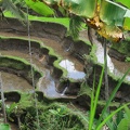 Bali 049