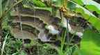 Bali 049