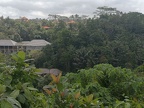 Bali 104