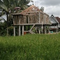 Bali 105