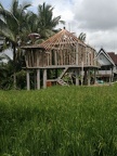 Bali 105