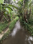 Bali 106