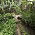 Bali 107