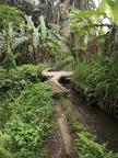 Bali 107
