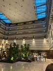 Kyoto 202