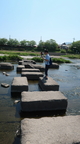 Kyoto 204