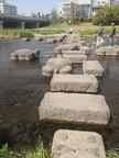 Kyoto 208