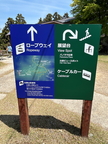 Kyoto 219