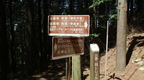 Kyoto 229