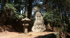 Kyoto 230