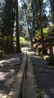Kyoto 233