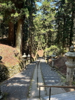 Kyoto 234
