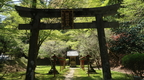 Kyoto 241