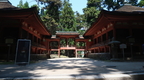 Kyoto 242