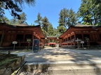 Kyoto 243