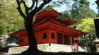 Kyoto 252
