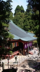 Kyoto 253