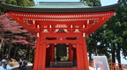 Kyoto 254
